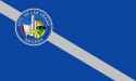 Flag_of_Las_Vegas