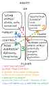 Phase transition diagram Four Quadrants