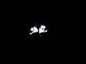 corpsehole