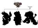 Evo Tree