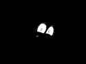 ttok