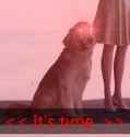 it&#039;s time