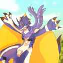 Kaus