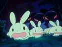 lagomunches