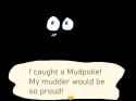 mudpoke