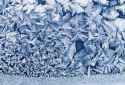 FROST