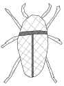 woven_bug
