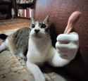 thumbs up