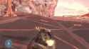 warthog run