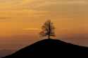 sunset hill