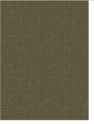 American Light Coyote Brown Night