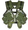 TLBV (enhanced tactical load bearing vest) [IIFS]