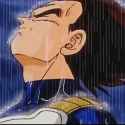 Vegeta rain