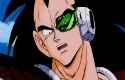 Raditz worried