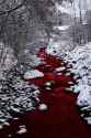 RIVERSOFBLOOD