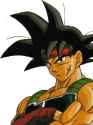 Bardock