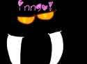 itsinngo