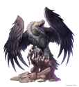Vulture Terror