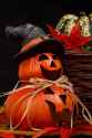 Pumpkins