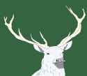 The White Stag