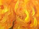 HOLYFIRE