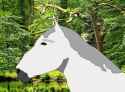 Wittekind the talking horse