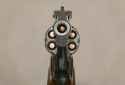 gun