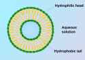Liposome_scheme-en.svg