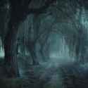 Forest_Path