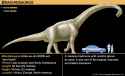 Brachiosaurus-2068860609.jpg