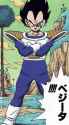 VegetaSaiyanSaga.jpg