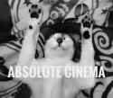 ABSOLUTE CINEMA CAT.jpg