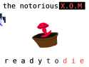 41 KB