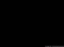 3 KB