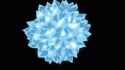 1.19 MB