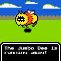 21 KB