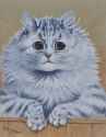 111 KB