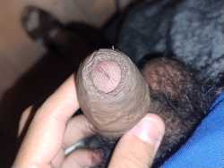 my penis