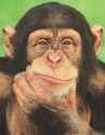 Chimpanzee_thinking_poster