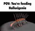 hallucigenia-cambrian