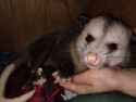 IMG_20250505_135127_566