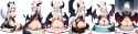 percakechestchacnecake_goacake4