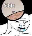 1626458423075