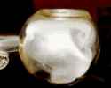 methpipe