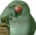 gun