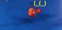 Nemo