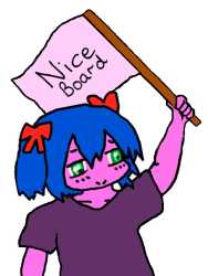 nice board flag