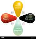 four-temperaments-sanguine-choleric-melancholic-and-phlegmatic-and-EMXY3A