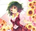 anime-touhou-yuuka-kazami-wallpaper-preview