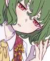 Kazami.Yuuka.600.4093568